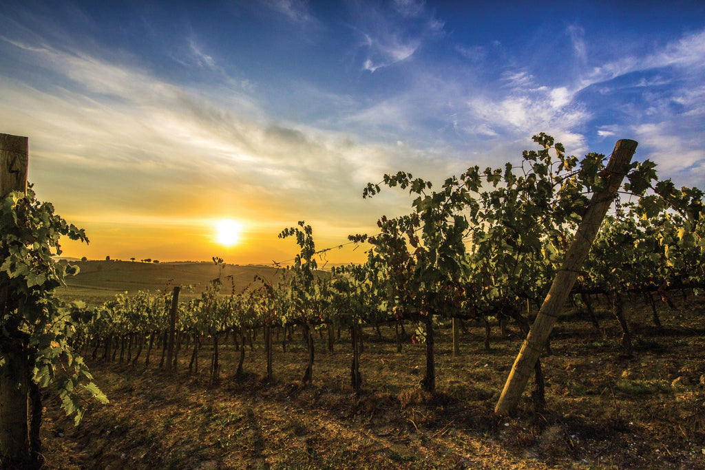 Brunello di Montalcino Riserva DOCG